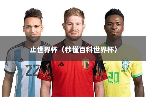 止世界杯（秒懂百科世界杯）