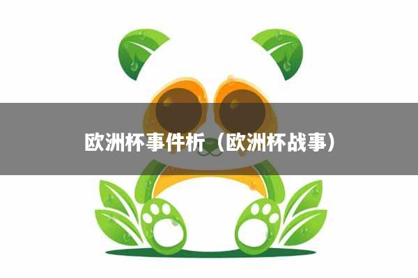 欧洲杯事件析（欧洲杯战事）