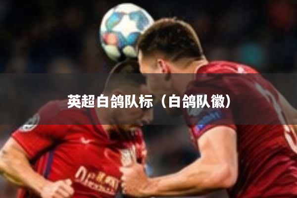 英超白鸽队标(白鸽队徽)