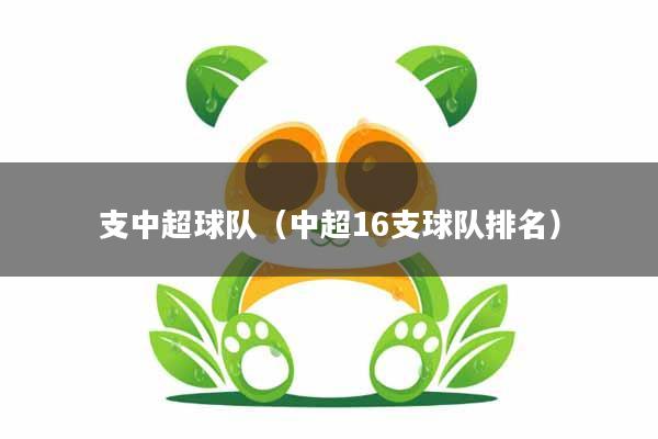 支中超球队(中超16支球队排名)