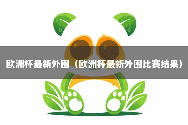 欧洲杯最新外围(欧洲杯最新外围比赛结果)