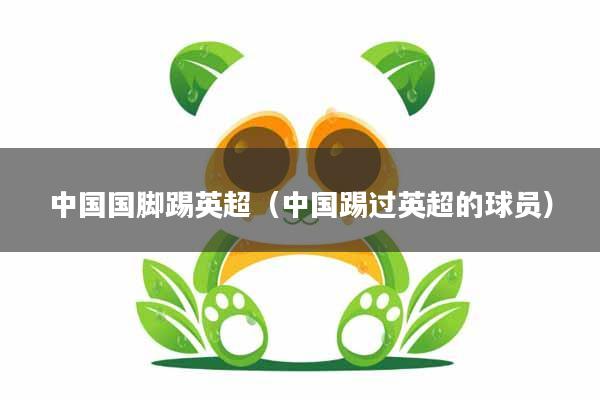 中国国脚踢英超（中国踢过英超的球员）
